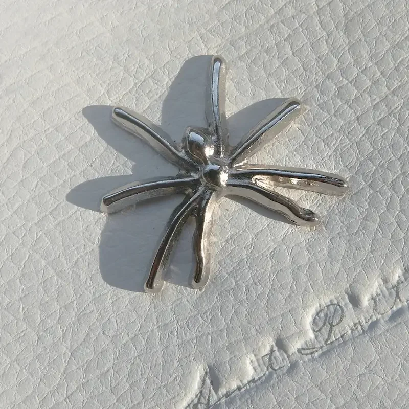 badge-e-patch-simbolo-ragno